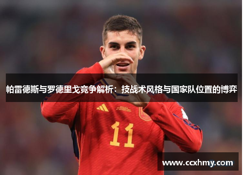 帕雷德斯与罗德里戈竞争解析：技战术风格与国家队位置的博弈
