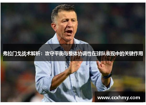 弗拉门戈战术解析：攻守平衡与整体协调性在球队表现中的关键作用