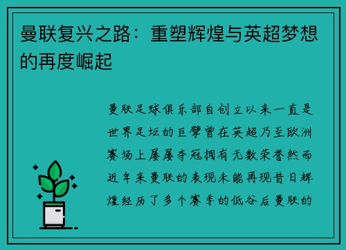 曼联复兴之路：重塑辉煌与英超梦想的再度崛起
