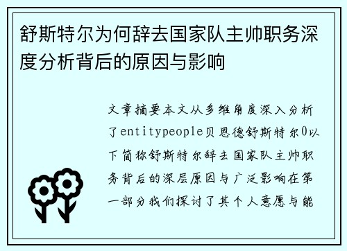 舒斯特尔为何辞去国家队主帅职务深度分析背后的原因与影响