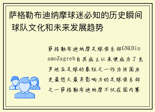 萨格勒布迪纳摩球迷必知的历史瞬间 球队文化和未来发展趋势